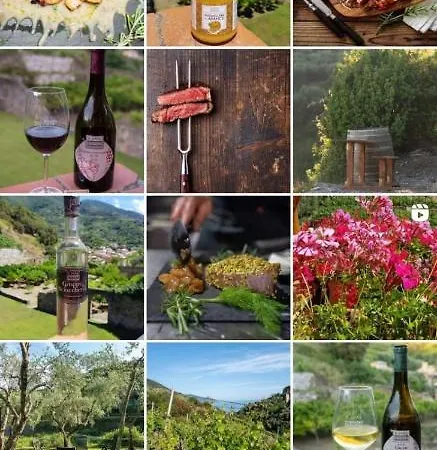 Buranco مزرعة للإقامة