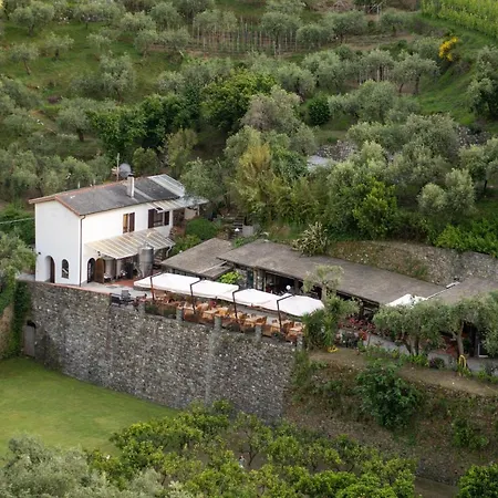 مزرعة للإقامة Buranco *