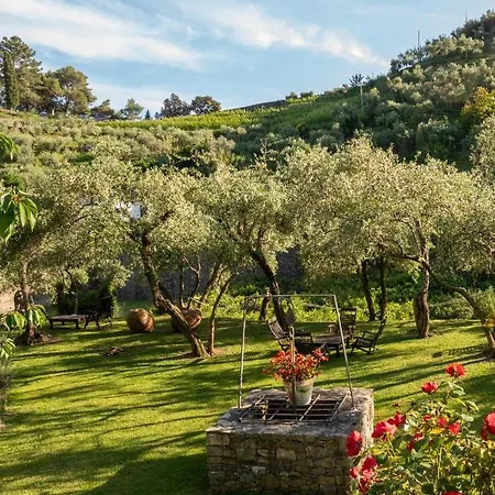 Buranco * مونتيروسّو ال ماري