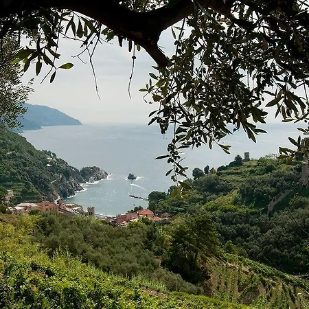 Buranco مزرعة للإقامة