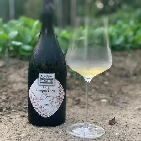 Buranco Farma Monterosso al Mare