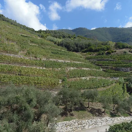 Buranco Bauernhof Monterosso al Mare