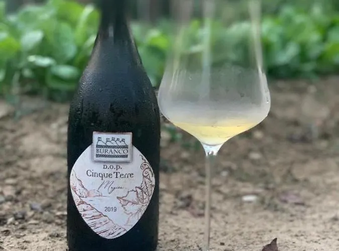 Buranco Bauernhof Monterosso al Mare