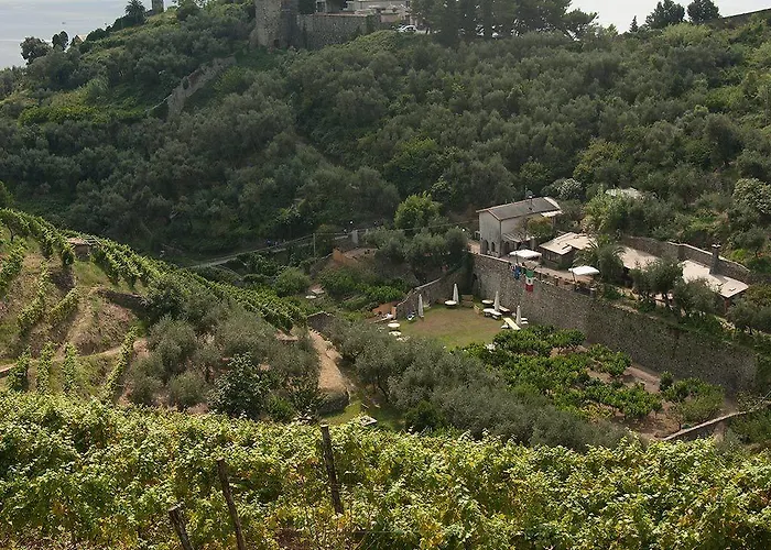 Alojamento de Turismo Rural Buranco